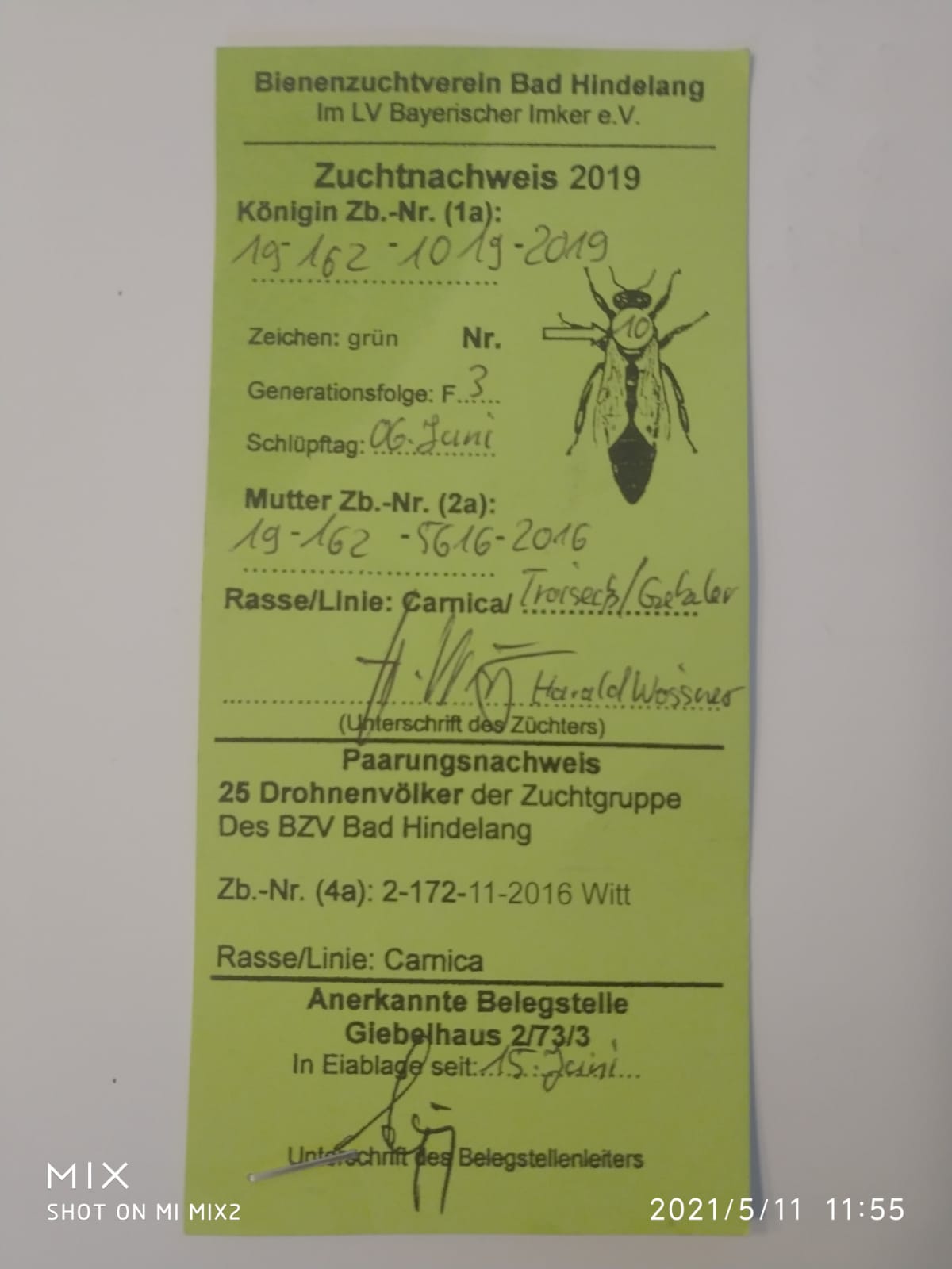 Zuchtkönigin 2021 Zuchtkönigin 2021