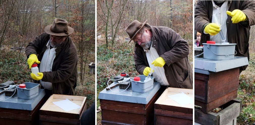 Winterbehandlung Bienen