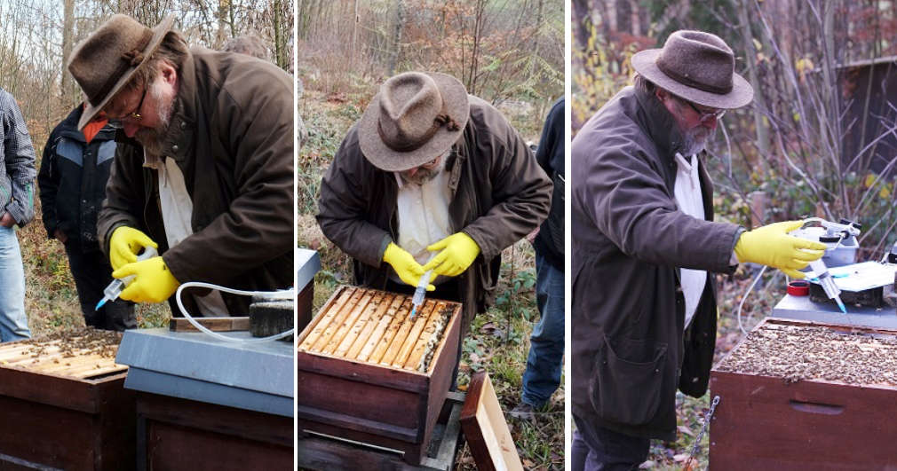 Winterbehandlung Bienen